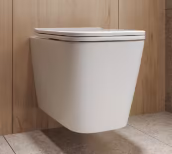 Wall Hung Rimless Toilet with Soft Close Seat – Albi